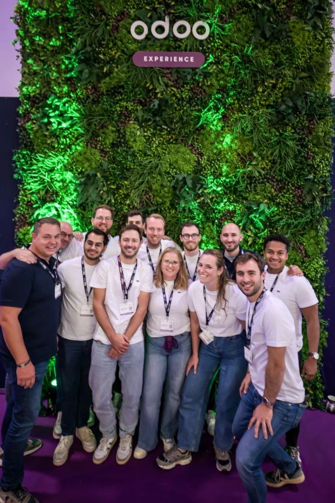 our Odoo expert team