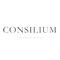 consilium very clear title with a small black bar below the company name